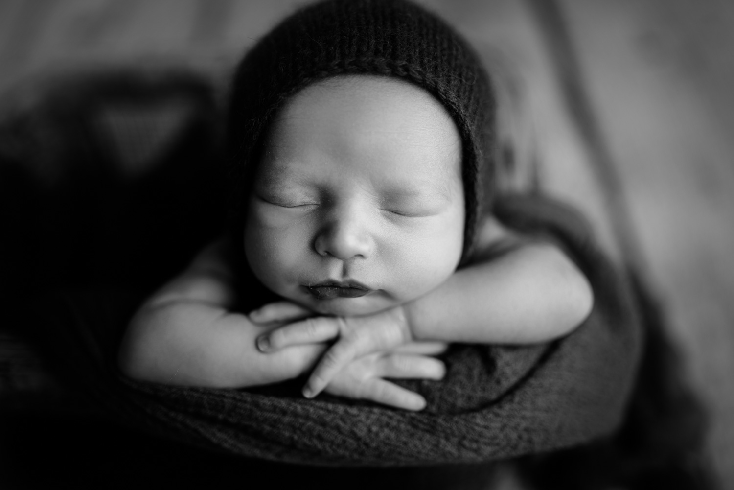newborn portraits portland oregon