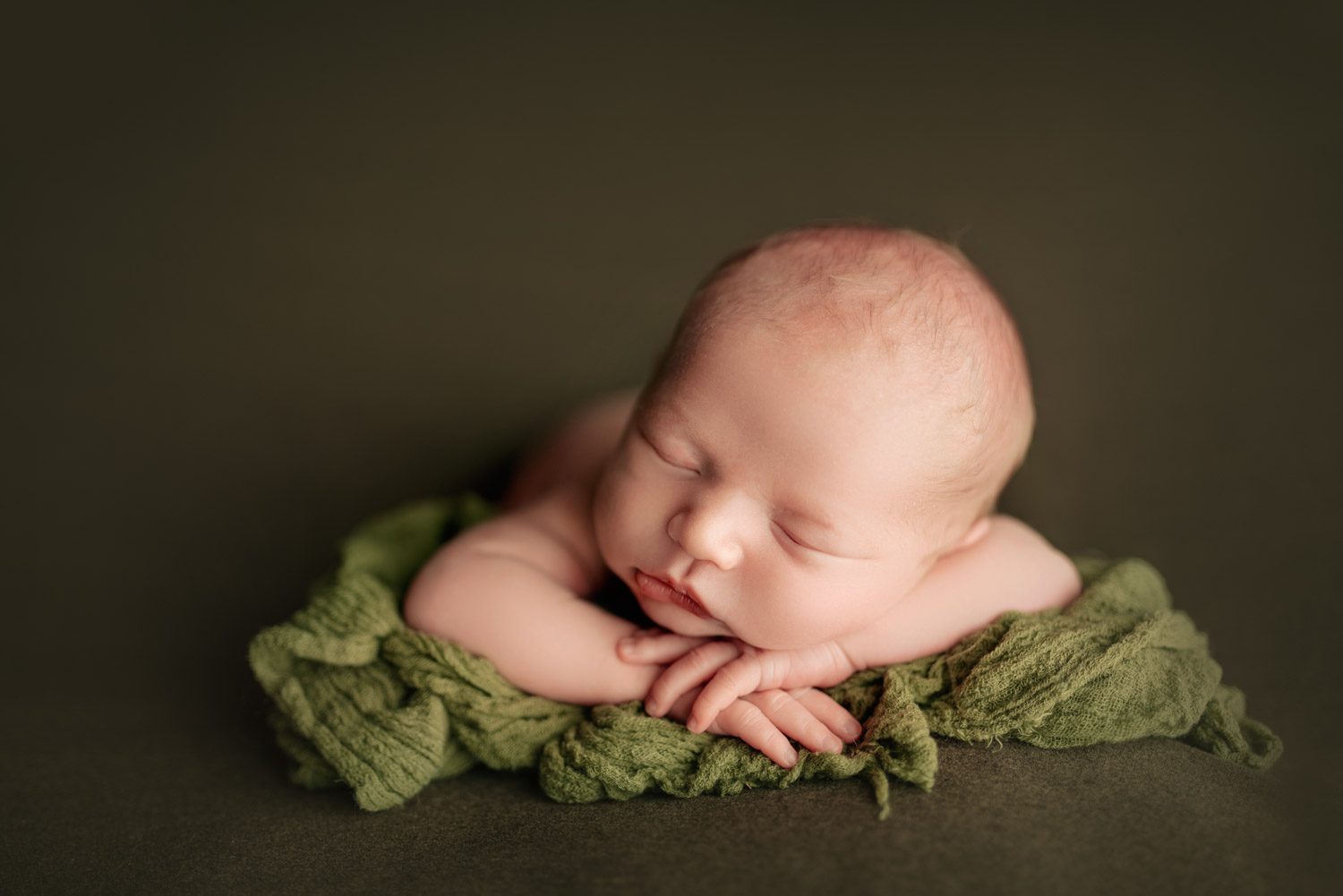 portland oregon newborn baby photo session