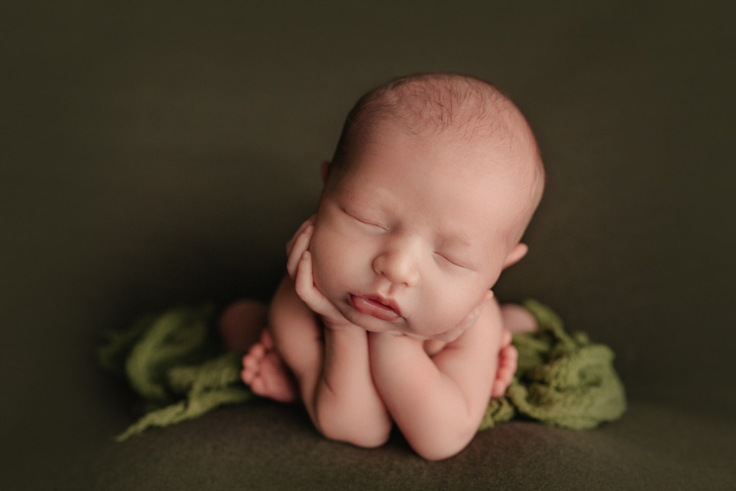 portland oregon newborn baby portraits