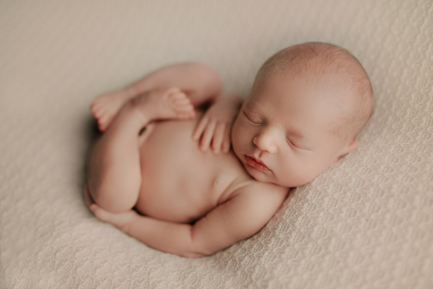 portland oregon newborn photo session