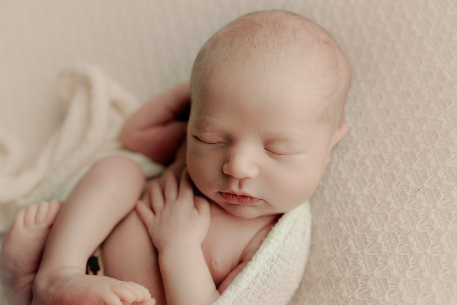 portland oregon newborn photos