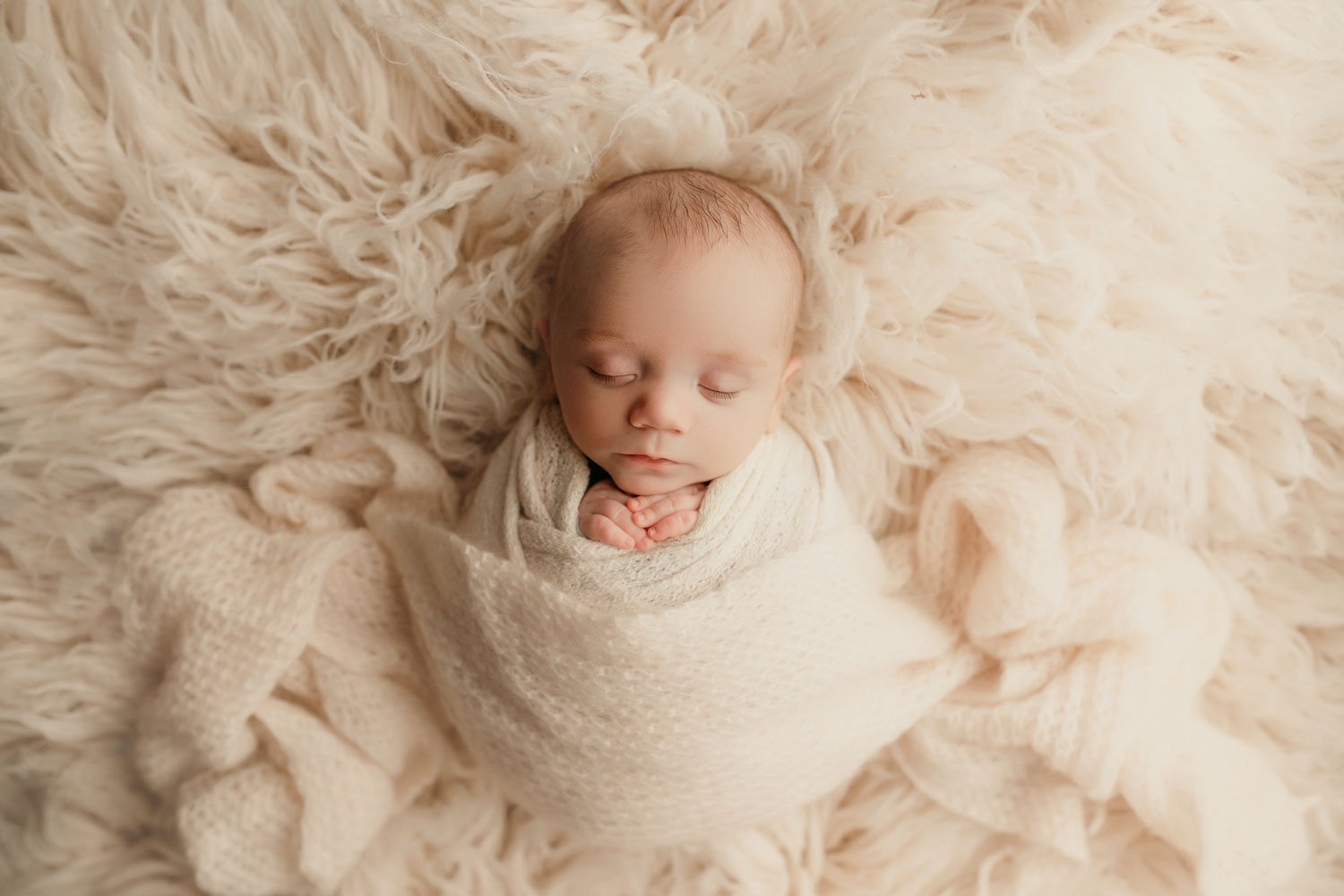 portland newborn photographer