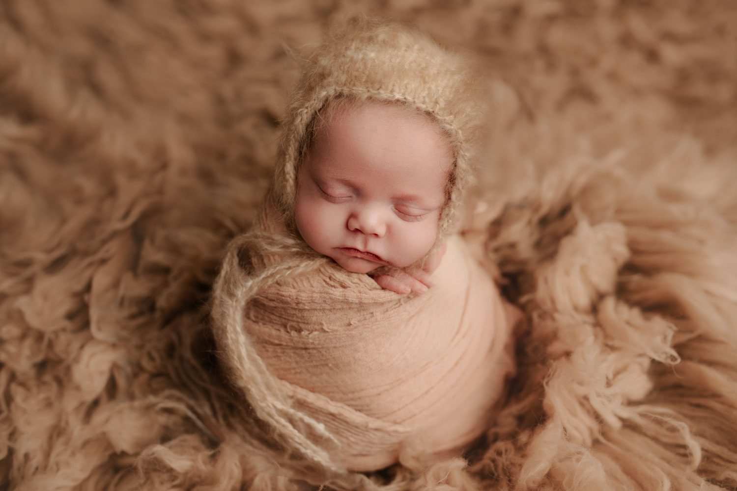 portland newborn baby portraits