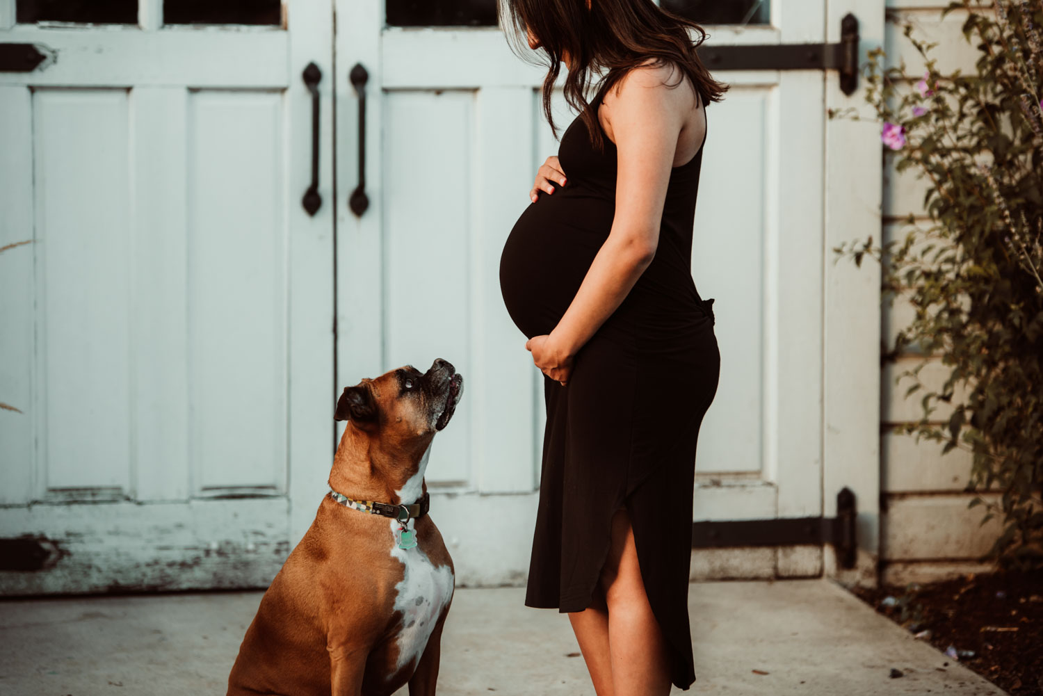 portland oregon maternity photography