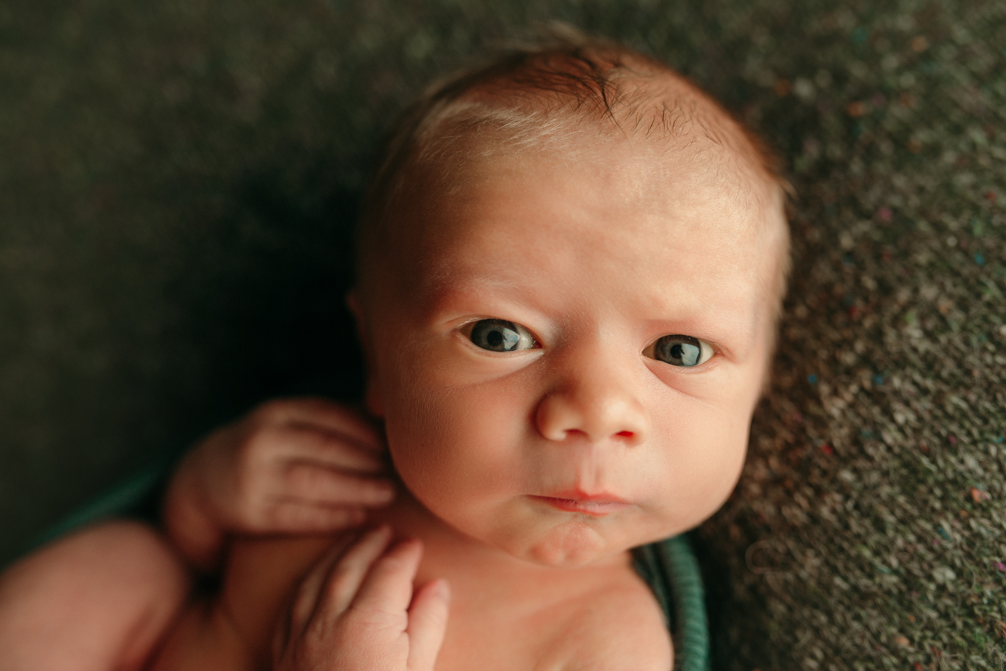 newborn baby photography portland oregon