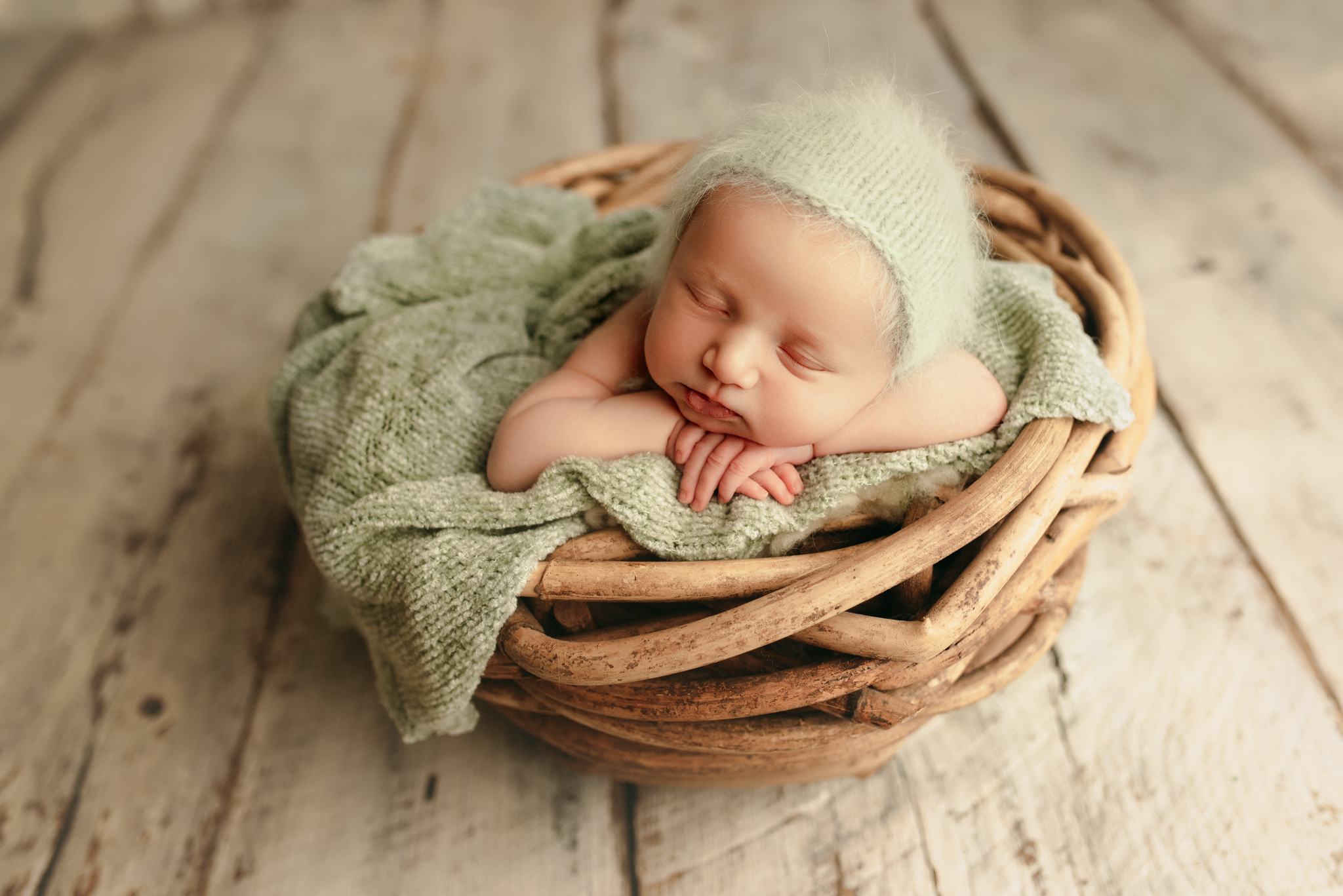 portland oregon newborn baby photo session