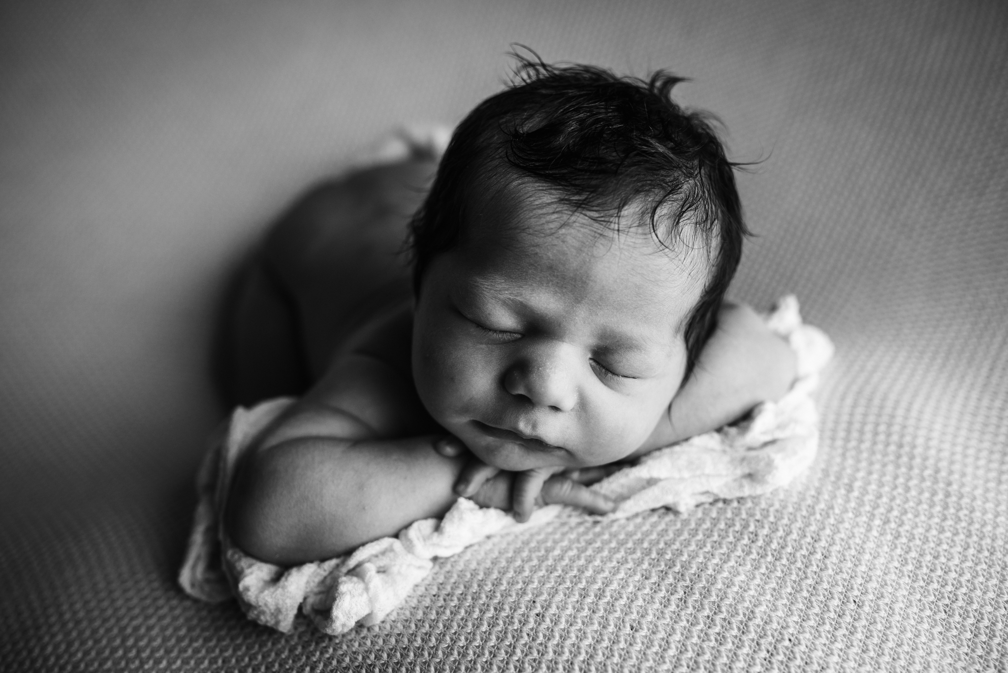 newborn baby photography portland oregon