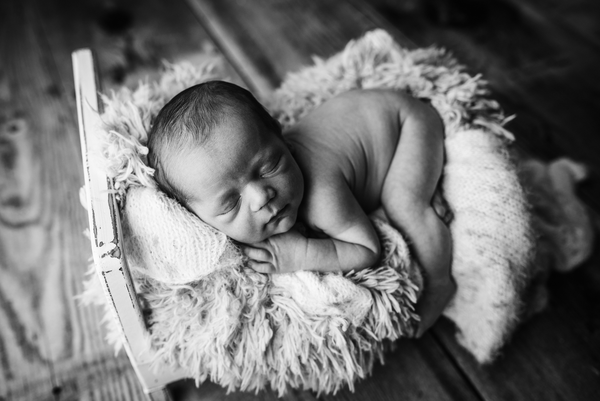 newborn photography portland oregon