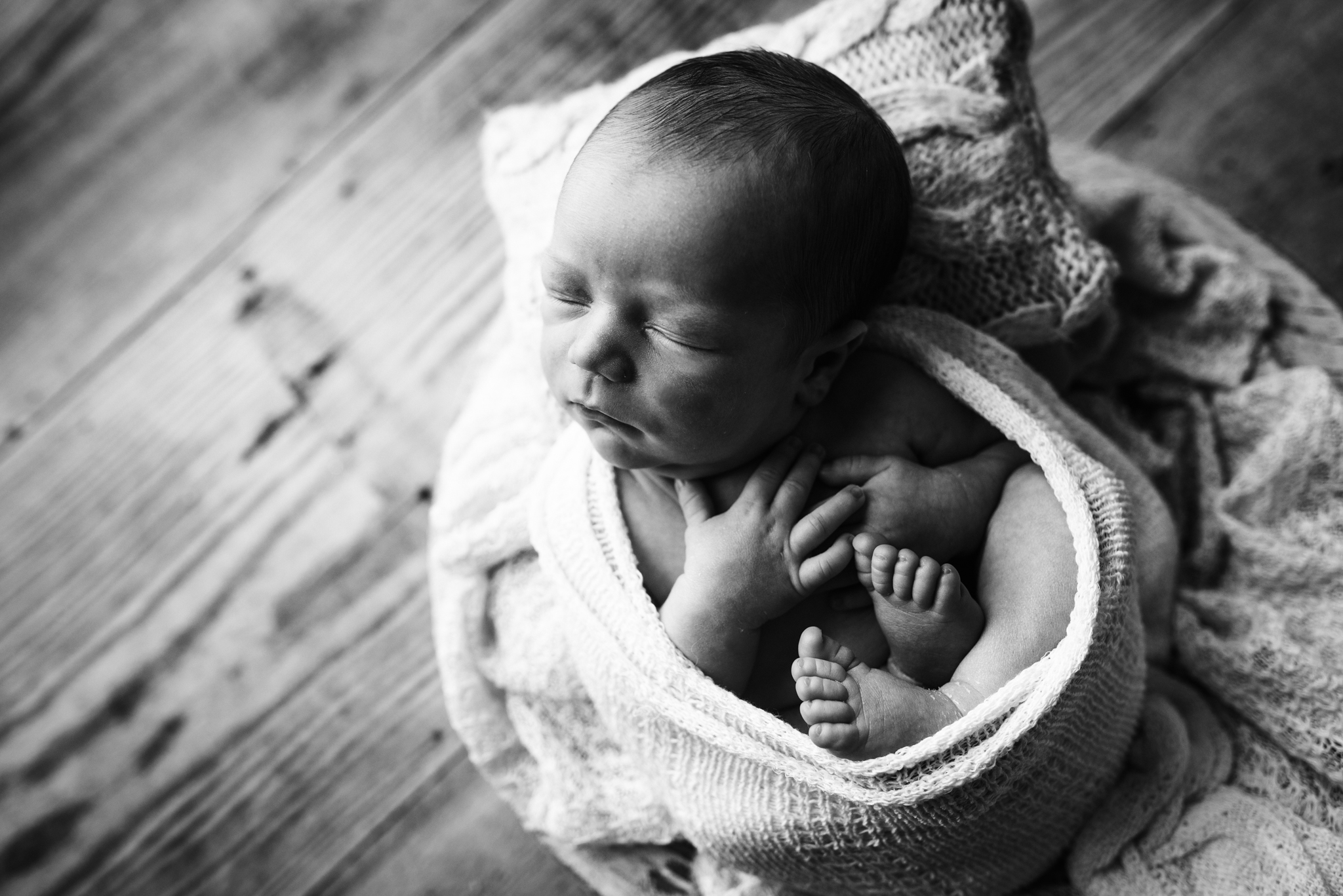 newborn photos portland oregon