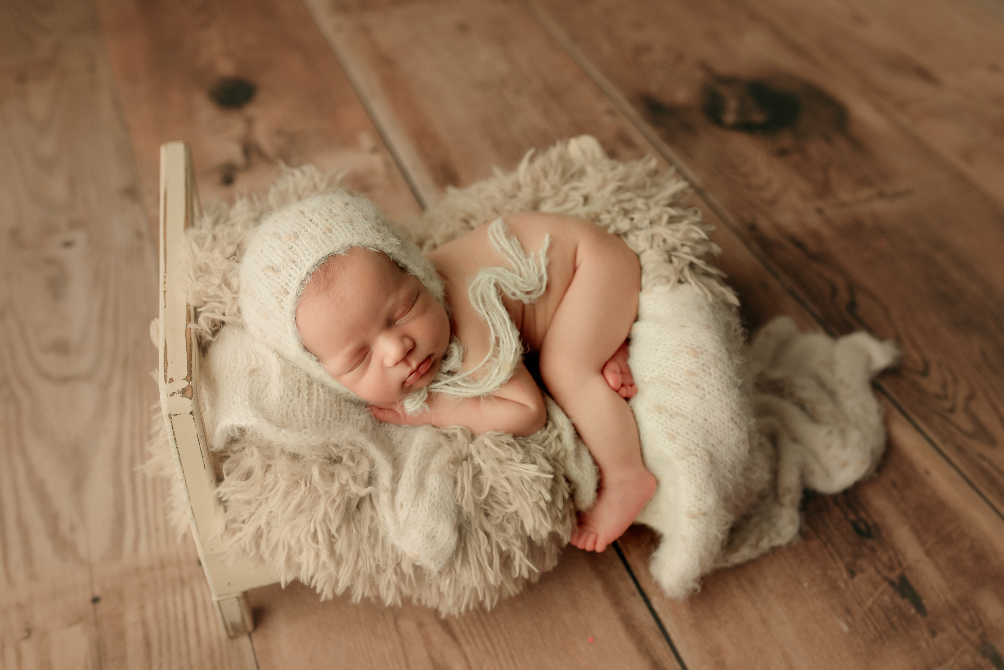 newborn portraits portland oregon